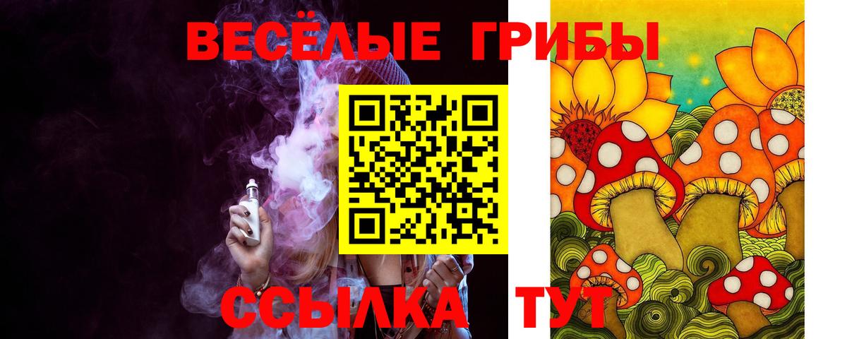 магазин  наркотиков  Псилоцибиновые грибы мицелий  Вход с VPN  Псилоцибиновые грибы прущие грибы  Сафоново 